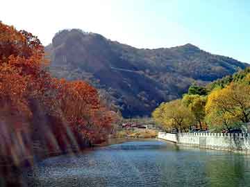 奥门天天开奖免费资料，空气净化器生产